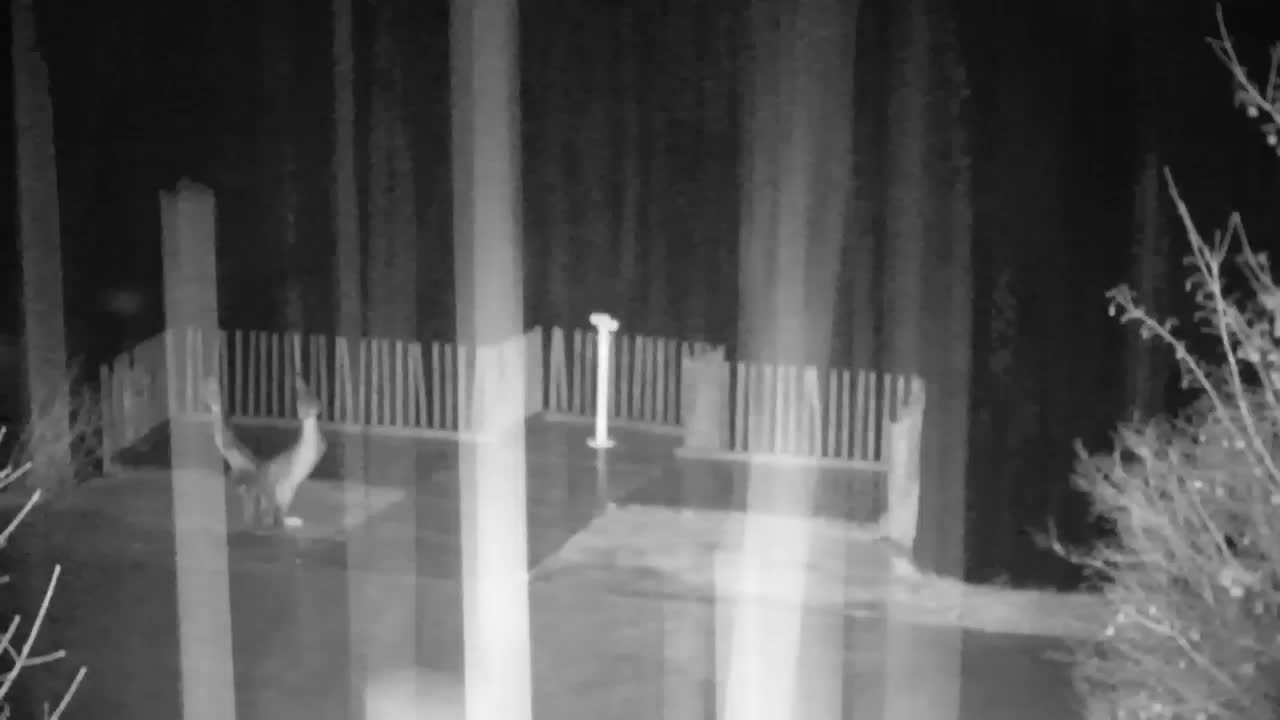 Webcam Ribnik Vrbje – Žalec