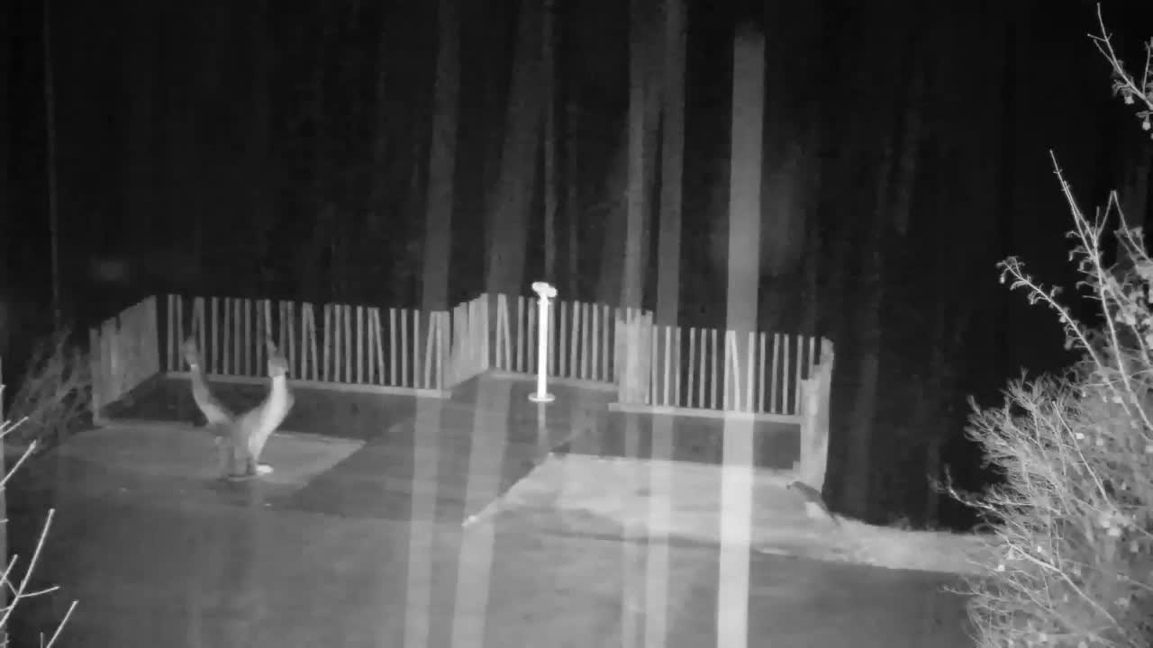 Webcam Ribnik Vrbje – Žalec