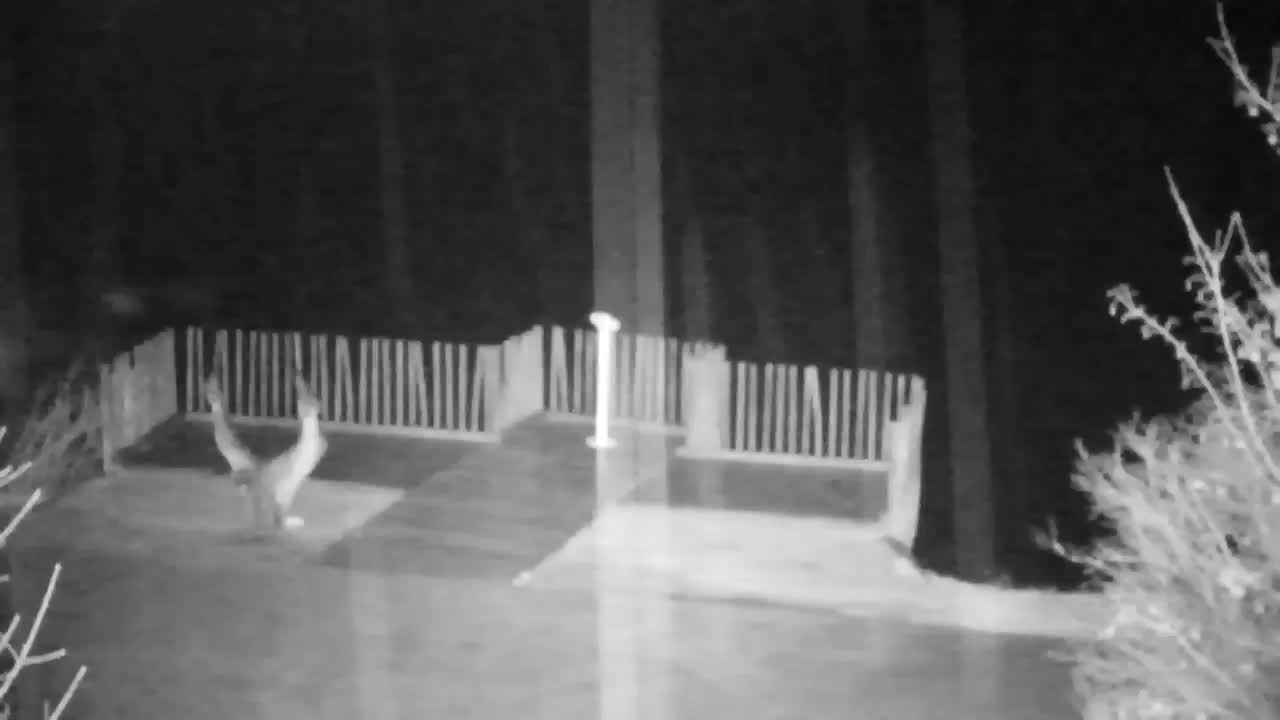 Webcam Ribnik Vrbje – Žalec