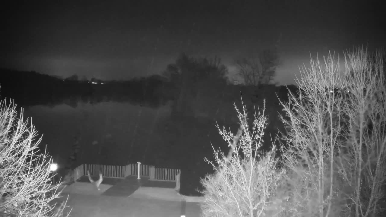 Webcam Ribnik Vrbje – Žalec