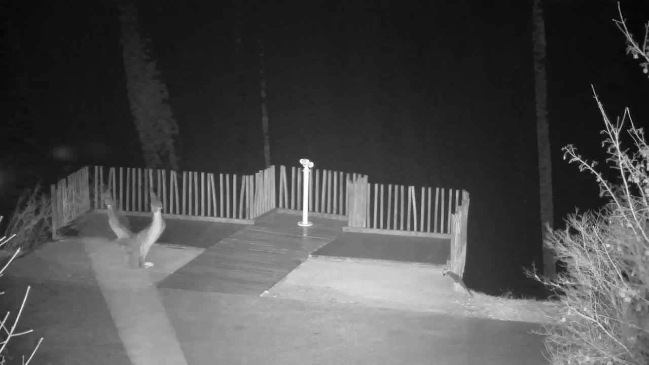 Spletna kamera Ribnik Vrbje – Žalec