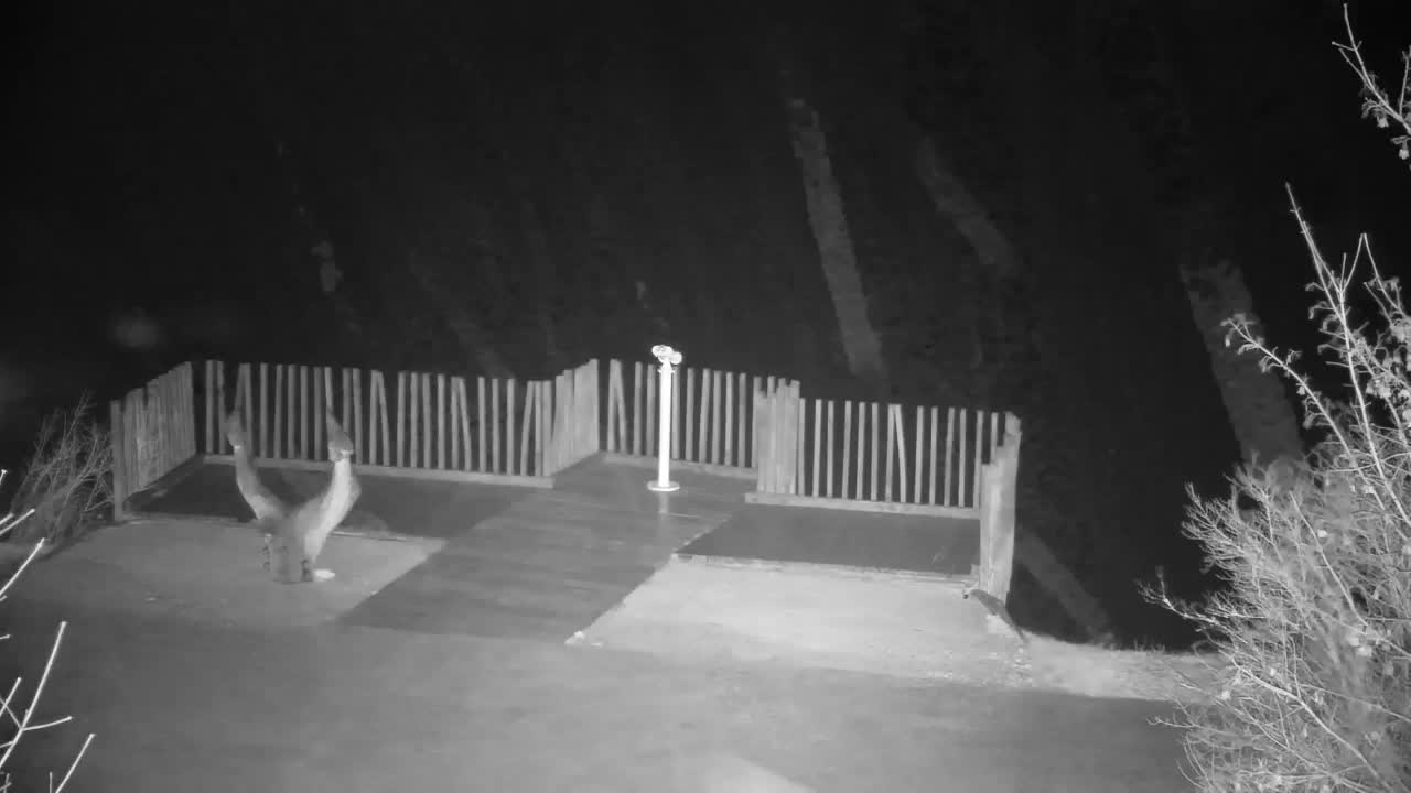 Webcam Ribnik Vrbje – Žalec