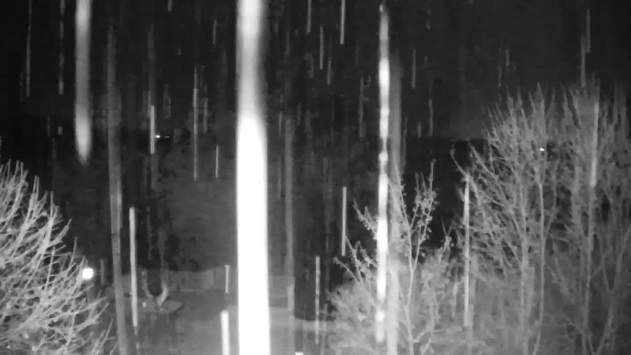 Webcam Ribnik Vrbje – Žalec