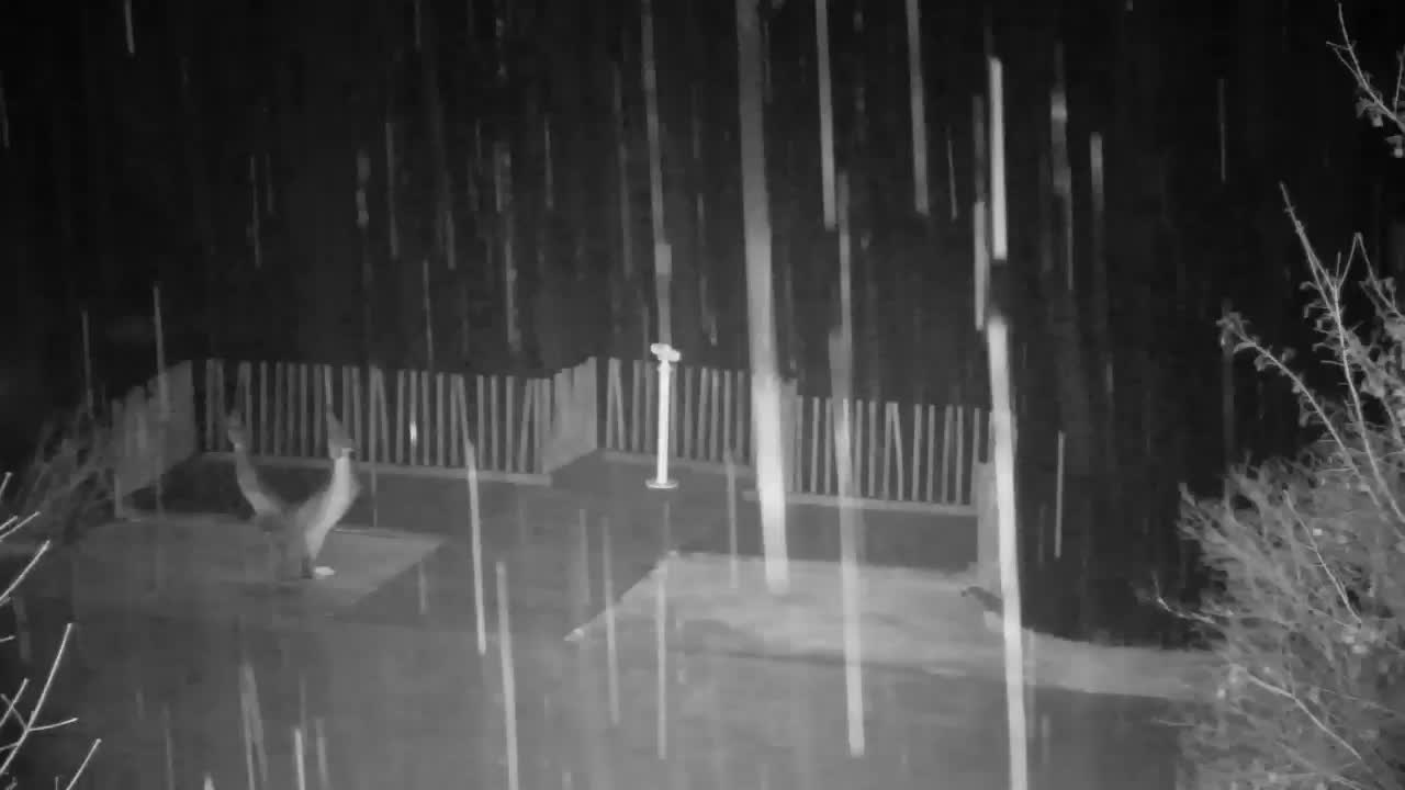 Webcam Ribnik Vrbje – Žalec