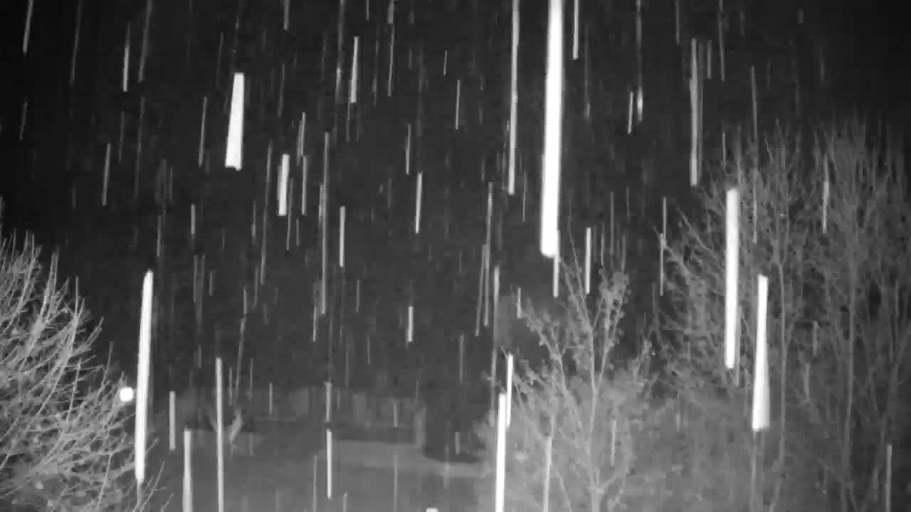 Webcam Ribnik Vrbje – Žalec