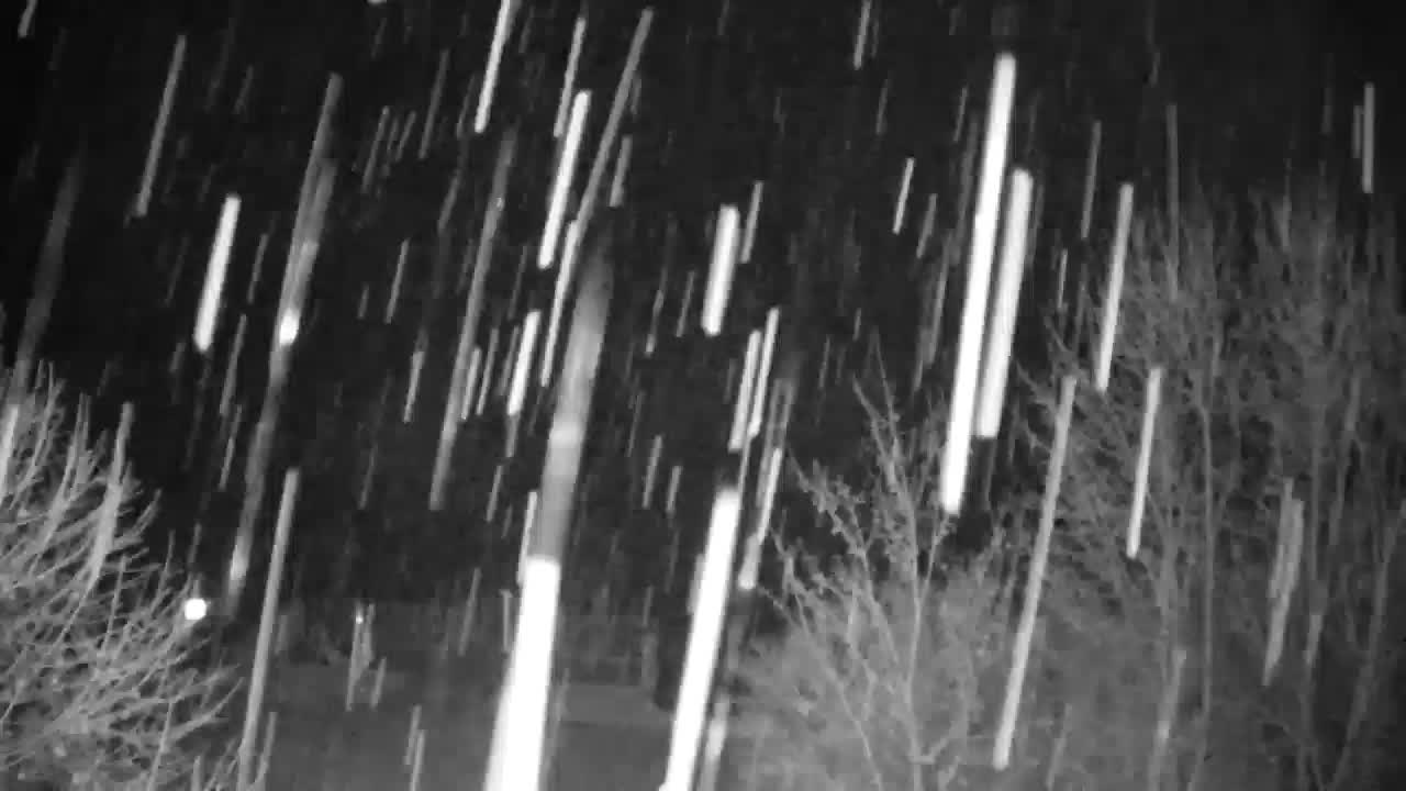 Webcam Ribnik Vrbje – Žalec