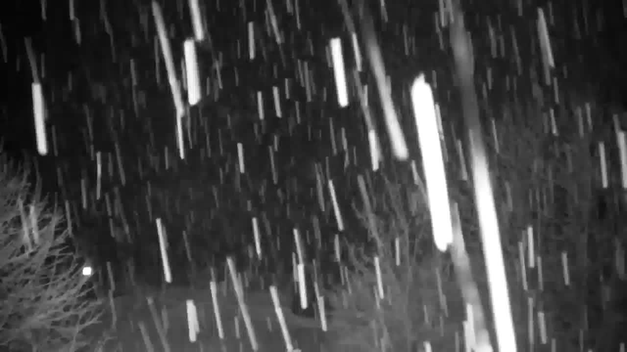 Webcam Ribnik Vrbje – Žalec