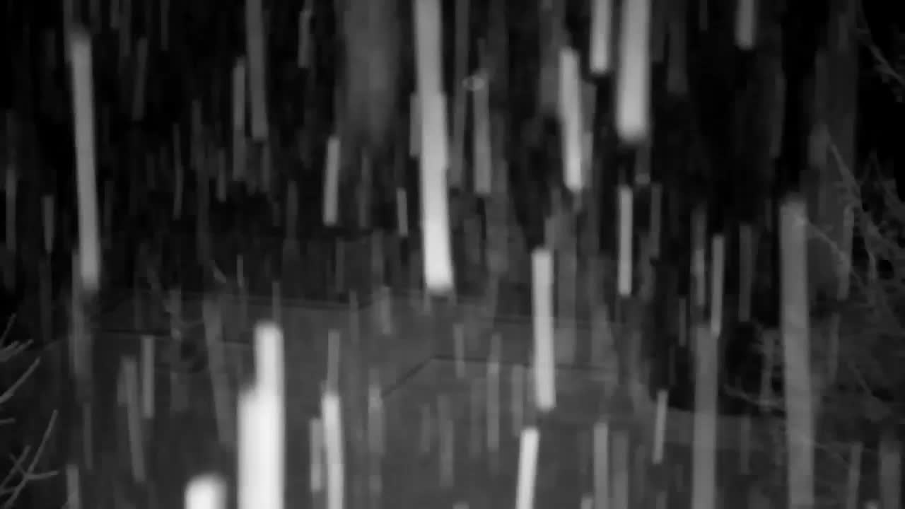 Web kamera Ribnik Vrbje – Žalec