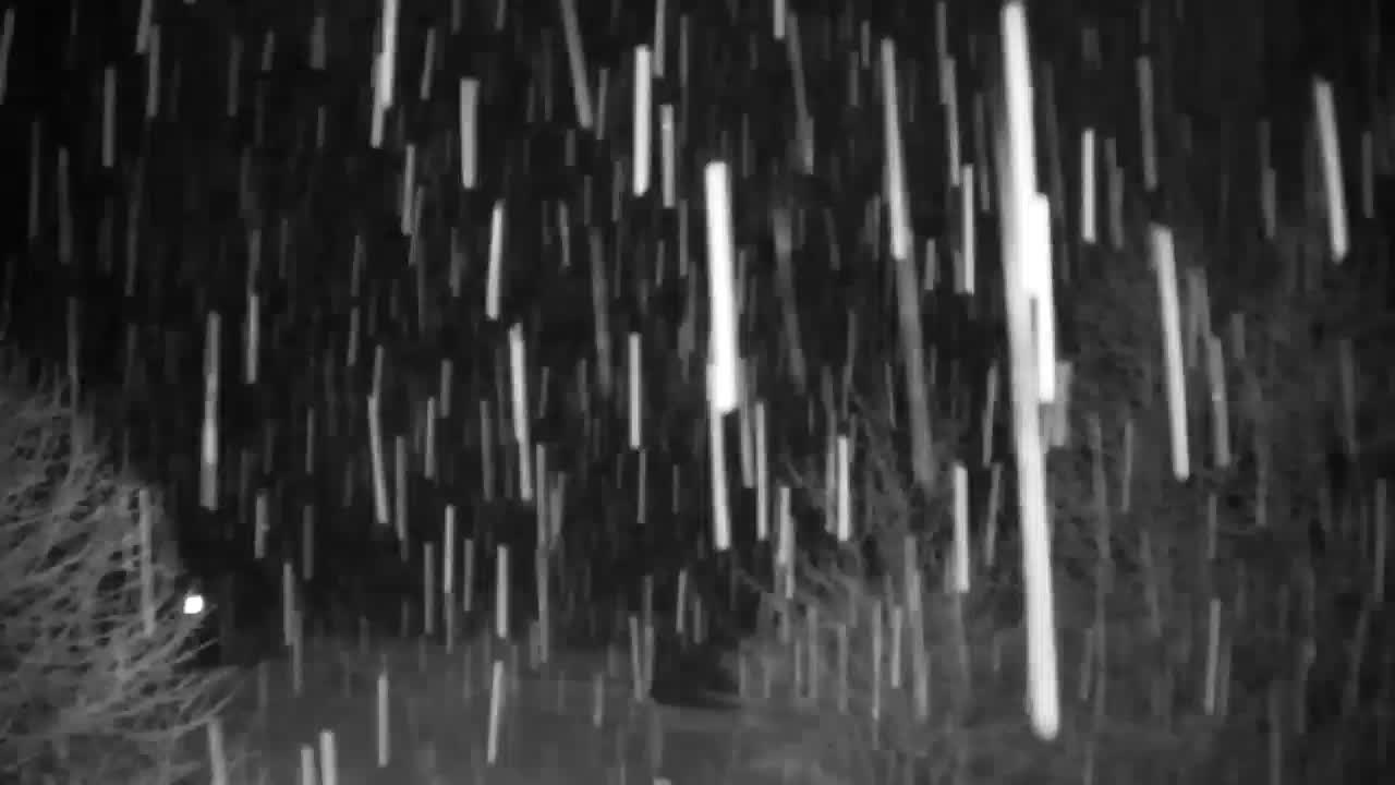 Web kamera Ribnik Vrbje – Žalec