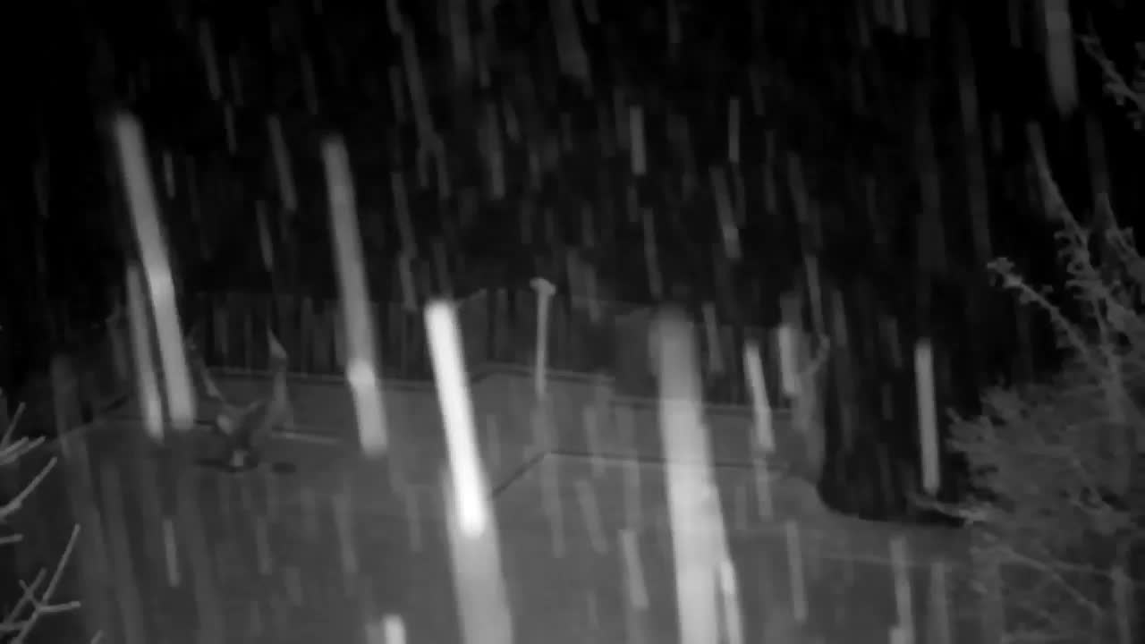 Webcam Ribnik Vrbje – Žalec