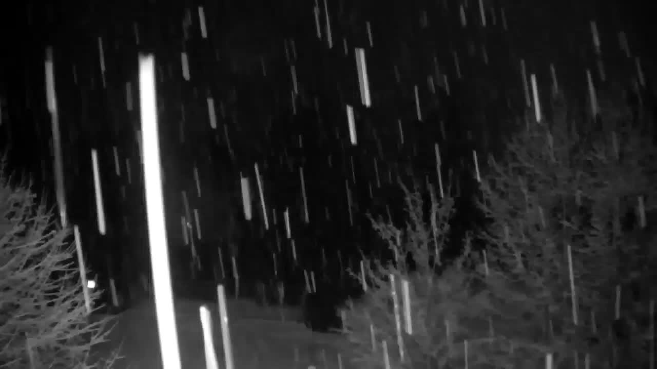 Webcam Ribnik Vrbje – Žalec