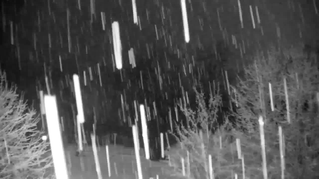 Webcam Ribnik Vrbje – Žalec