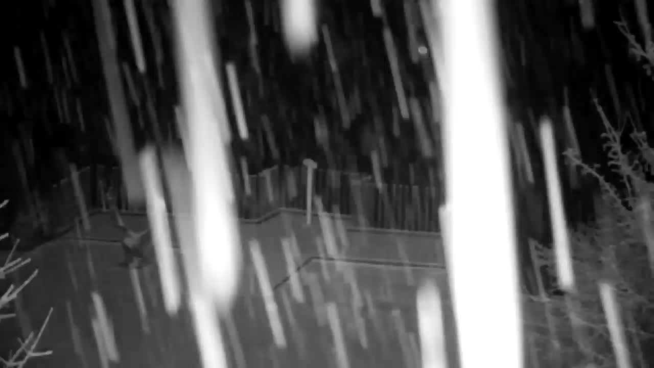 Webcam Ribnik Vrbje – Žalec