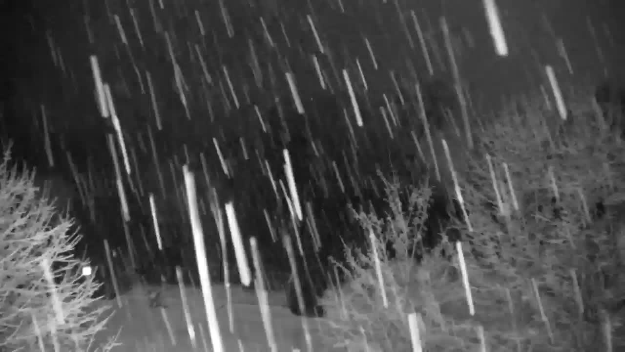 Webcam Ribnik Vrbje – Žalec