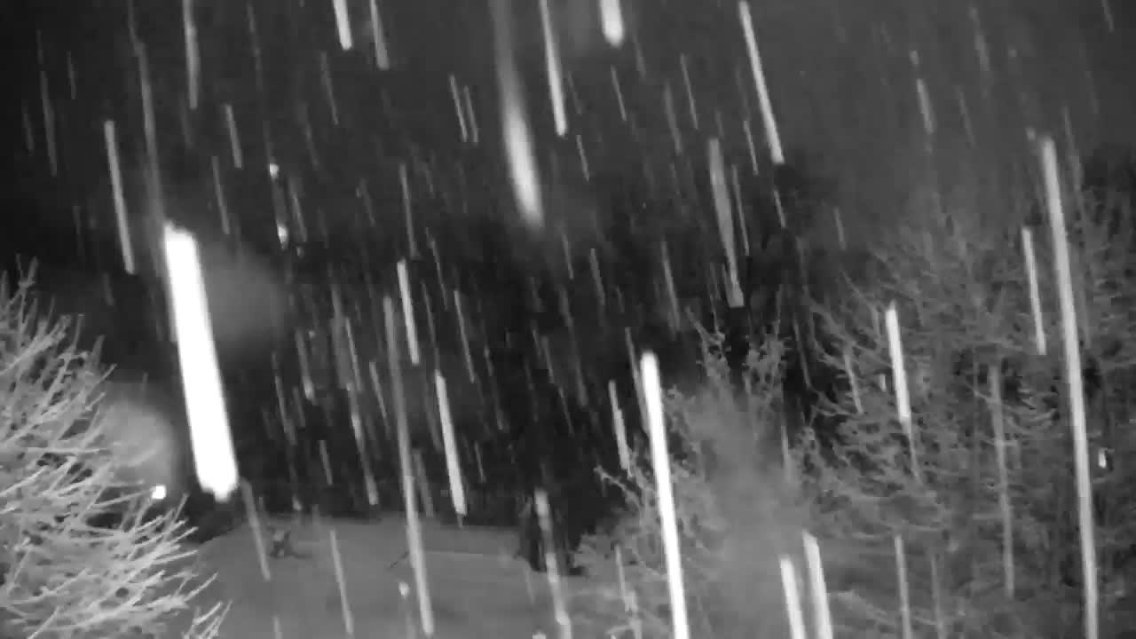 Webcam Ribnik Vrbje – Žalec