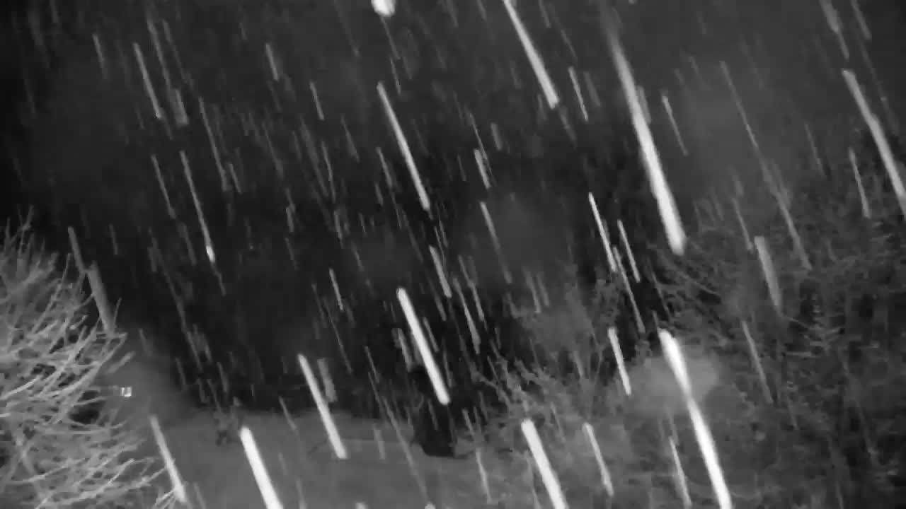 Webcam Ribnik Vrbje – Žalec