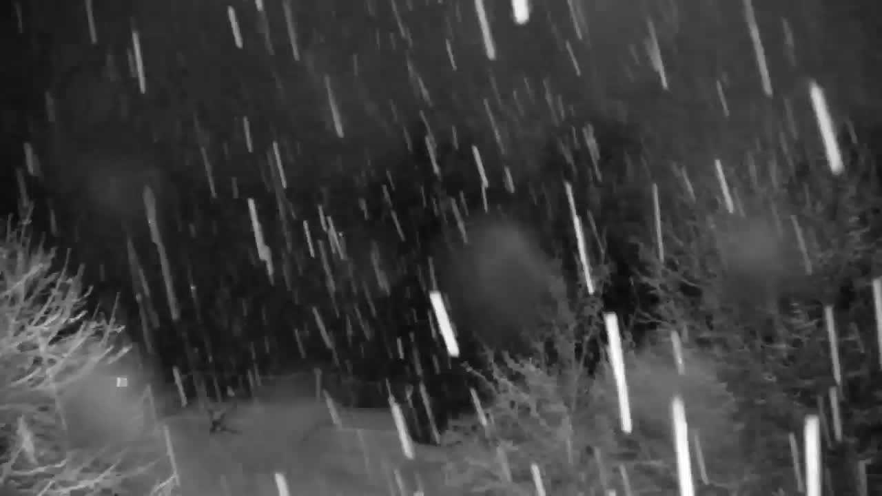 Webcam Ribnik Vrbje – Žalec