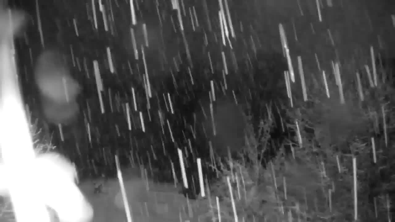 Webcam Ribnik Vrbje – Žalec