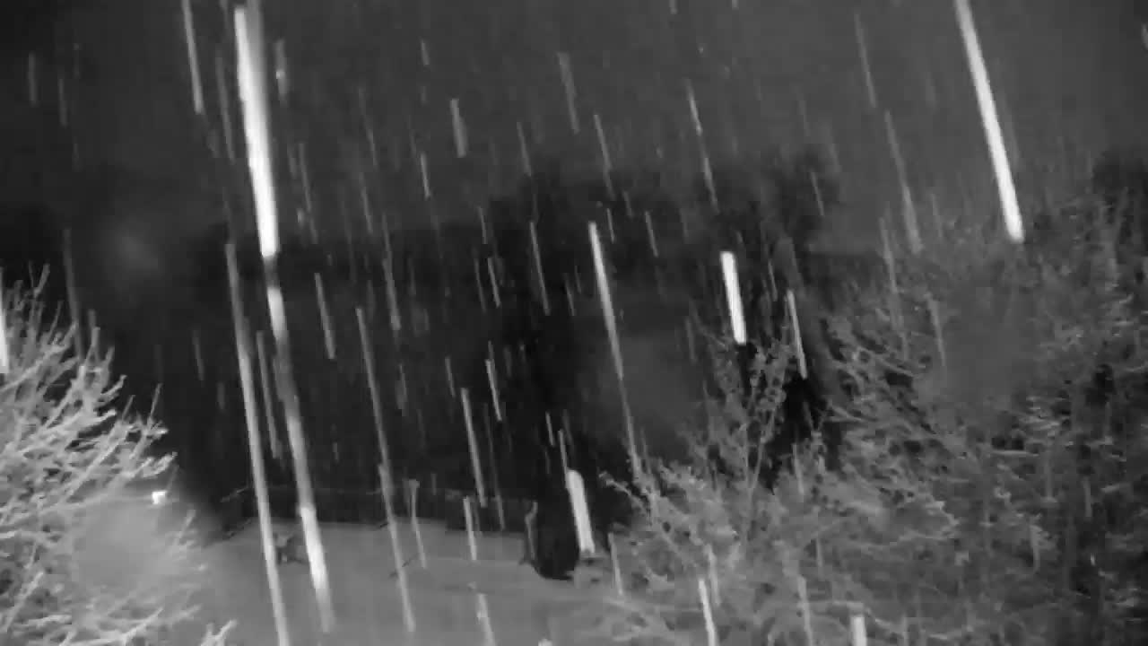 Webcam Ribnik Vrbje – Žalec