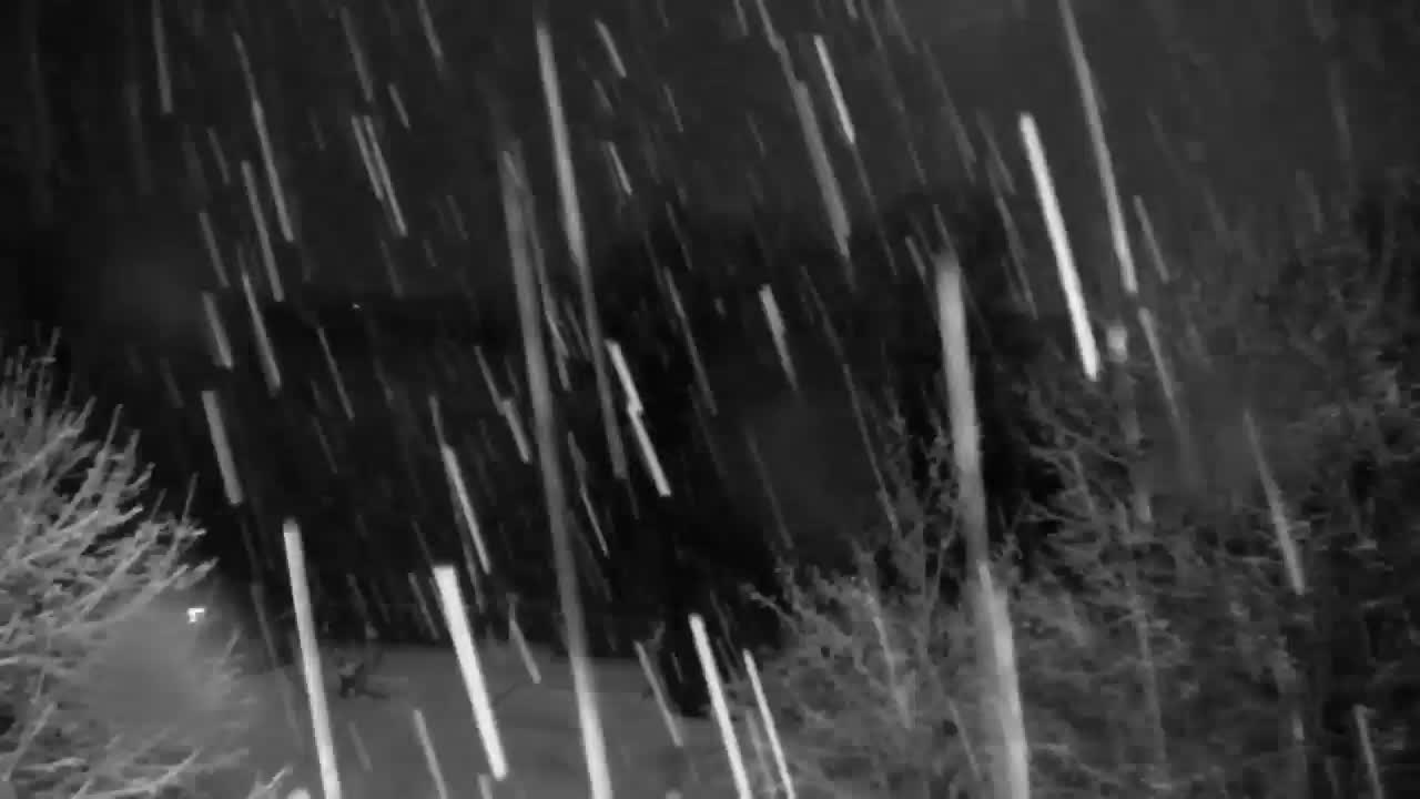 Webcam Ribnik Vrbje – Žalec