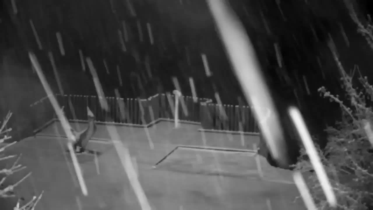 Webcam Ribnik Vrbje – Žalec