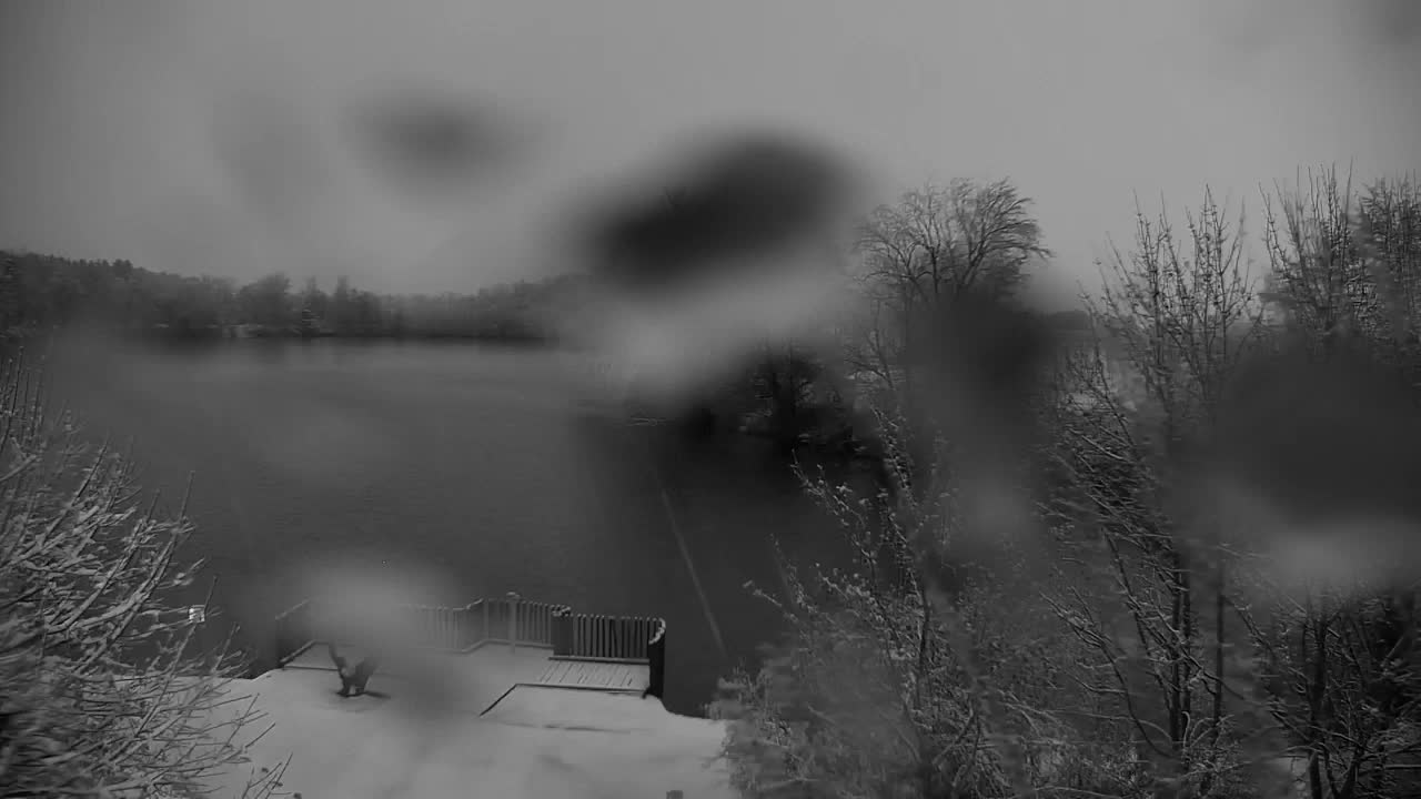 Webcam Ribnik Vrbje – Žalec