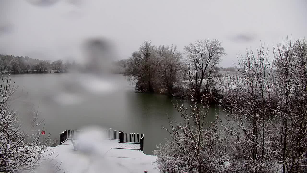 Webcam Ribnik Vrbje – Žalec