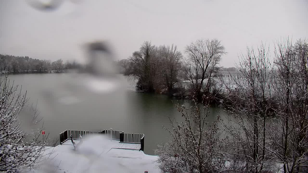 Webcam Ribnik Vrbje – Žalec