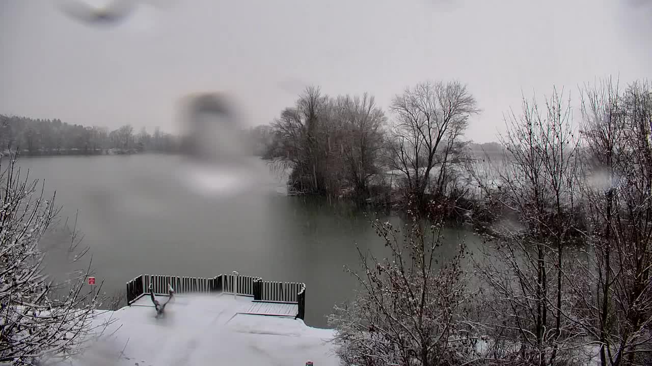 Webcam Ribnik Vrbje – Žalec