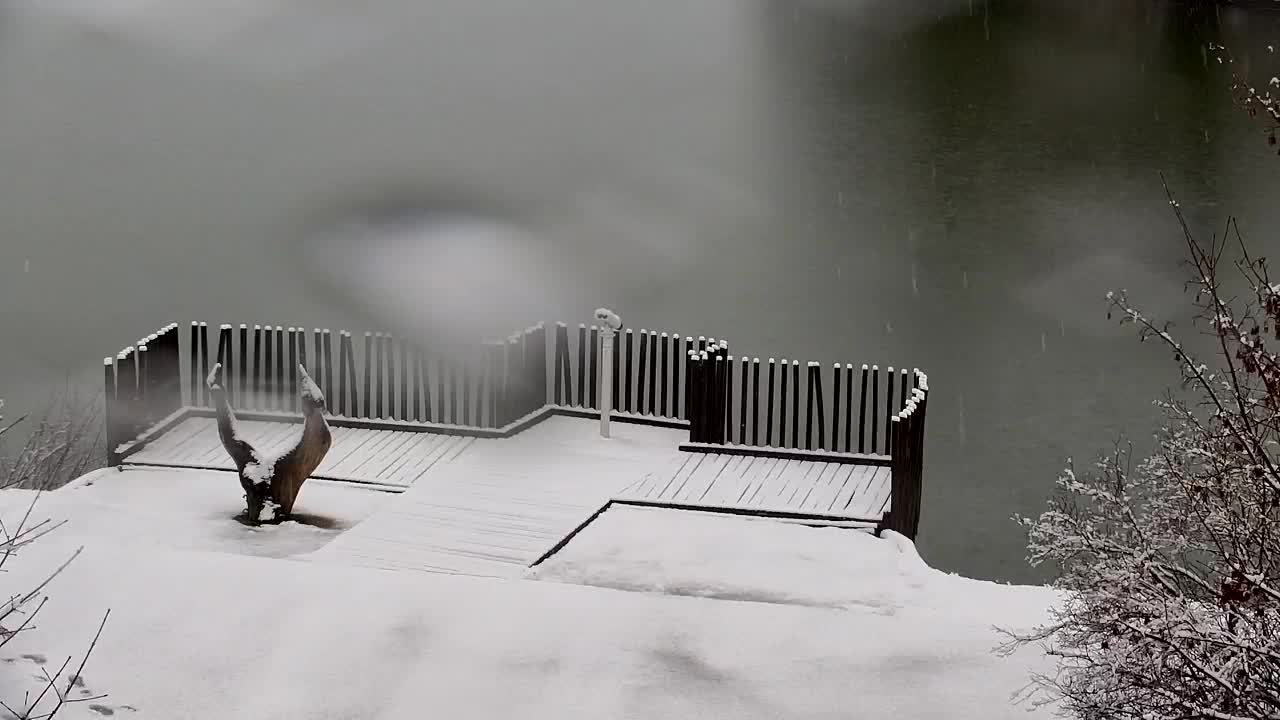 Webcam Ribnik Vrbje – Žalec