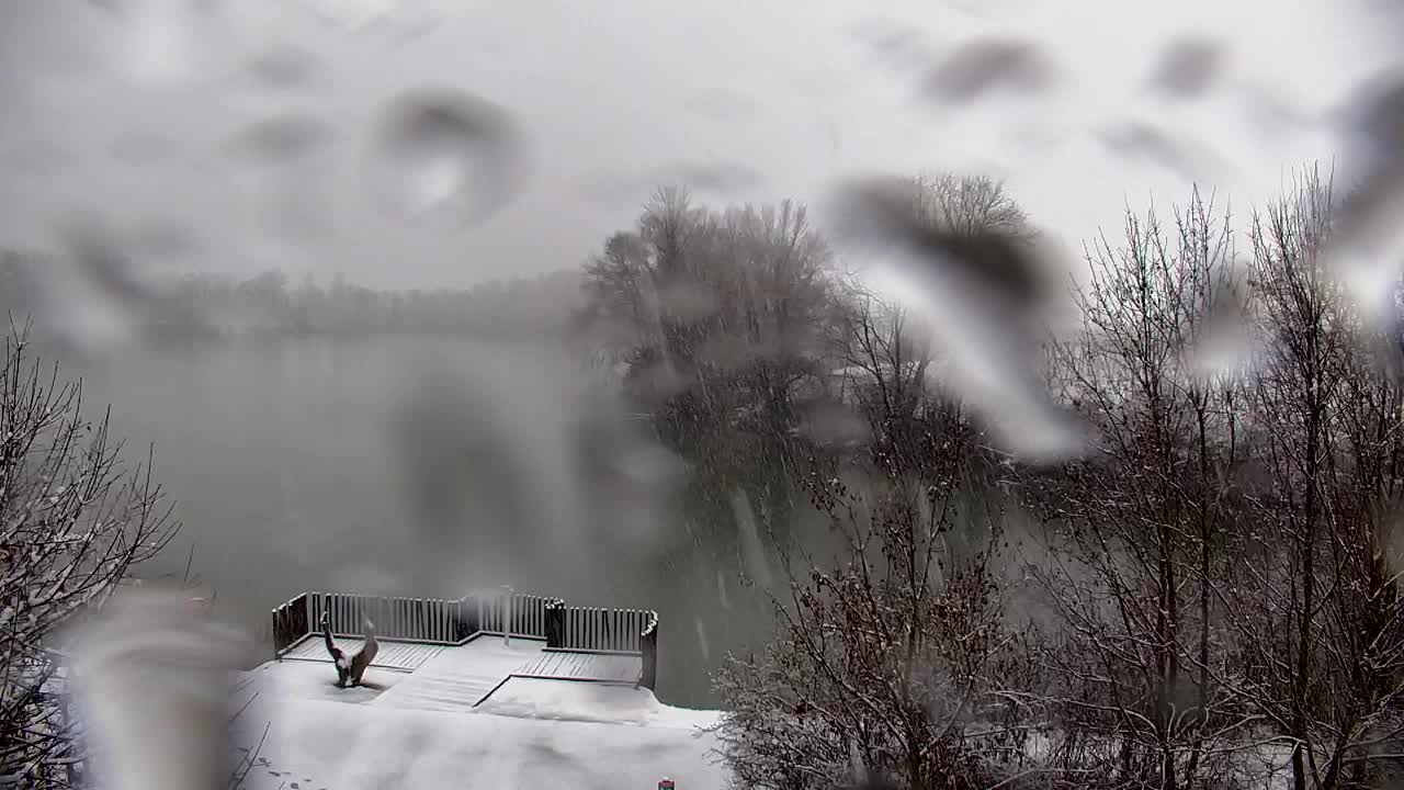 Webcam Ribnik Vrbje – Žalec