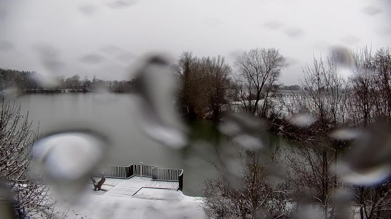 Webcam Ribnik Vrbje – Žalec