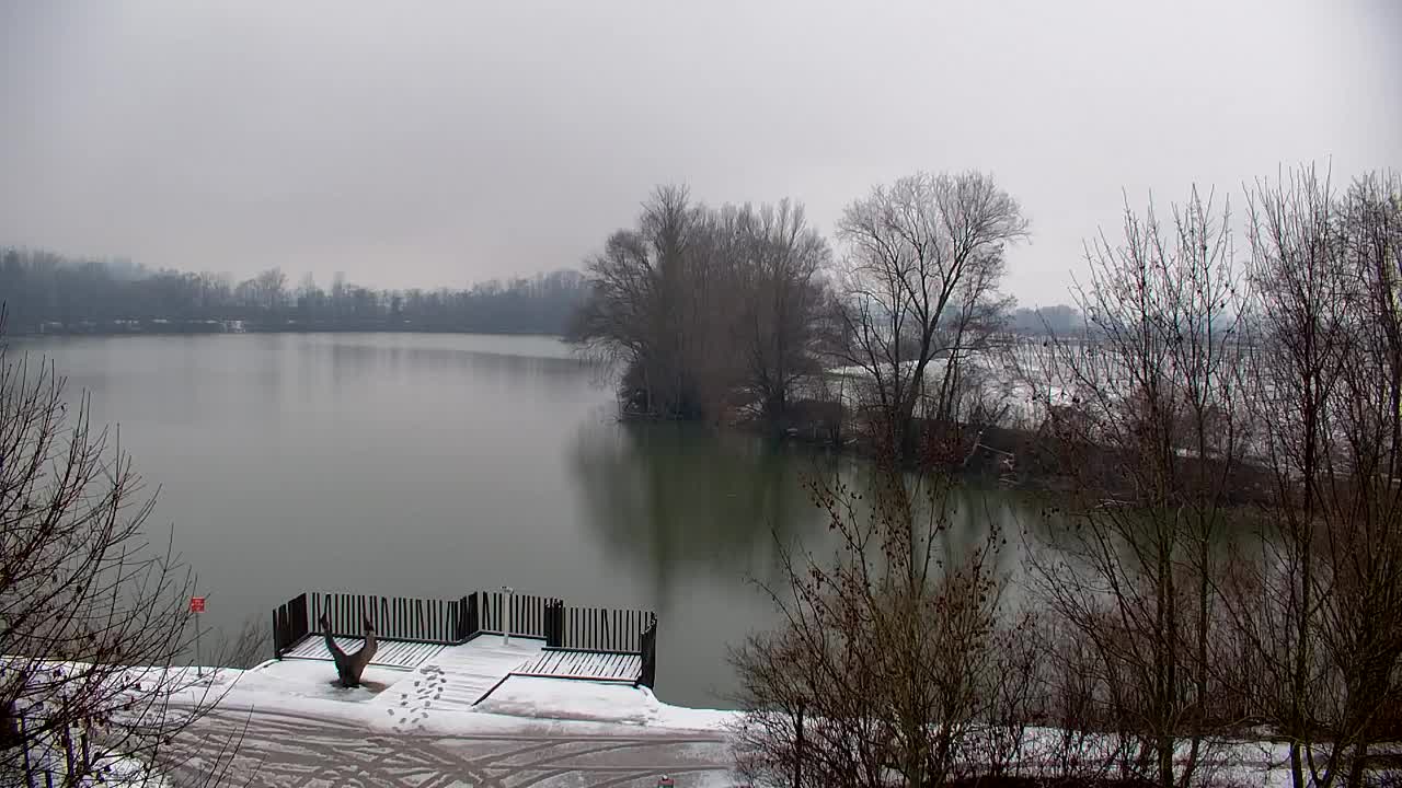 Webcam Ribnik Vrbje – Žalec