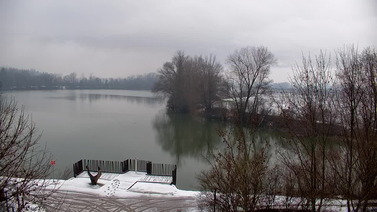 Webcam Ribnik Vrbje – Žalec