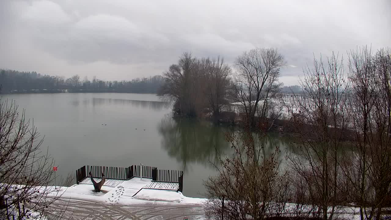 Webcam Ribnik Vrbje – Žalec