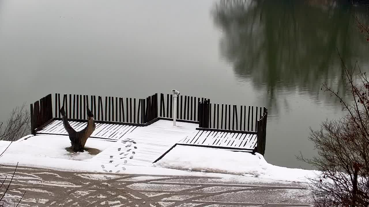 Spletna kamera Ribnik Vrbje – Žalec