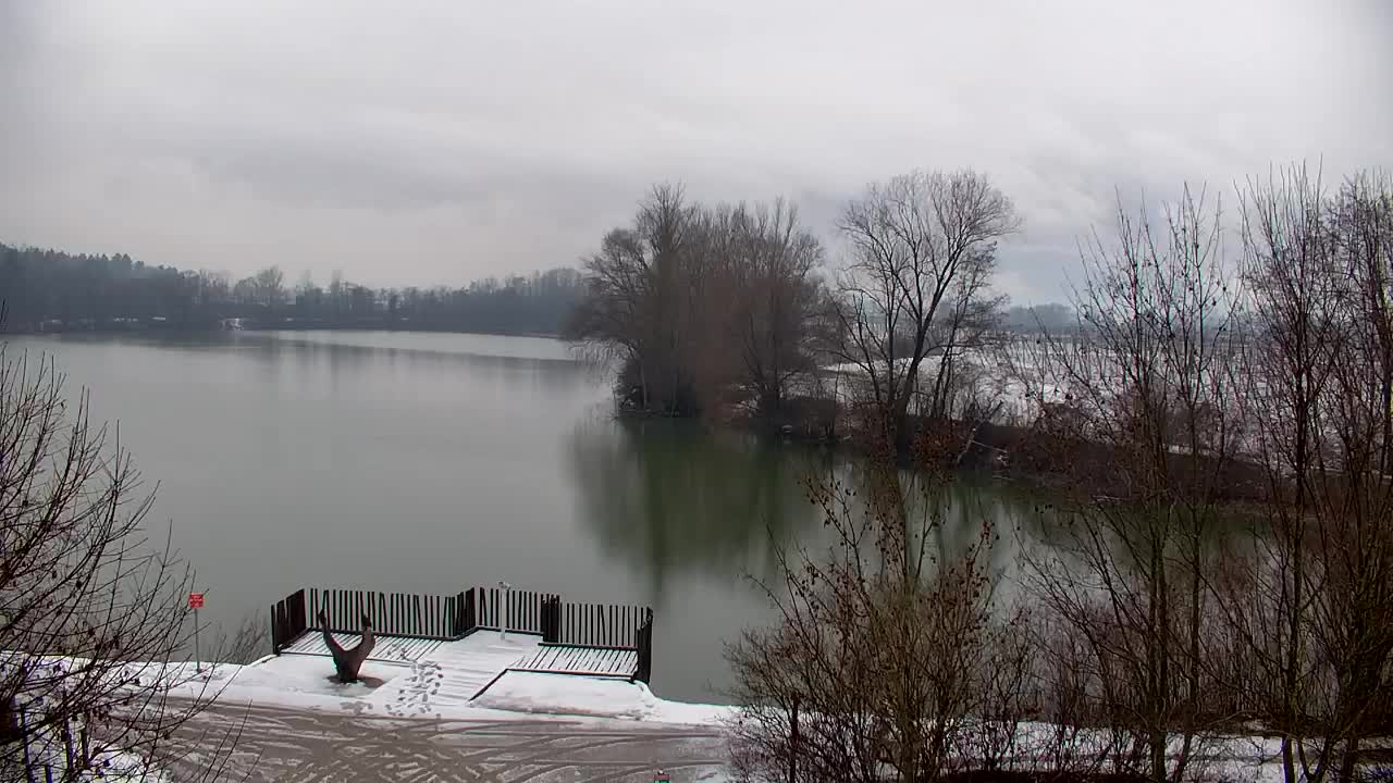 Spletna kamera Ribnik Vrbje – Žalec