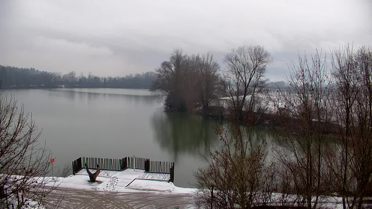 Web kamera Ribnik Vrbje – Žalec