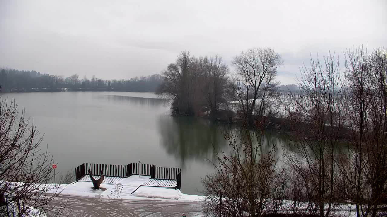 Web kamera Ribnik Vrbje – Žalec