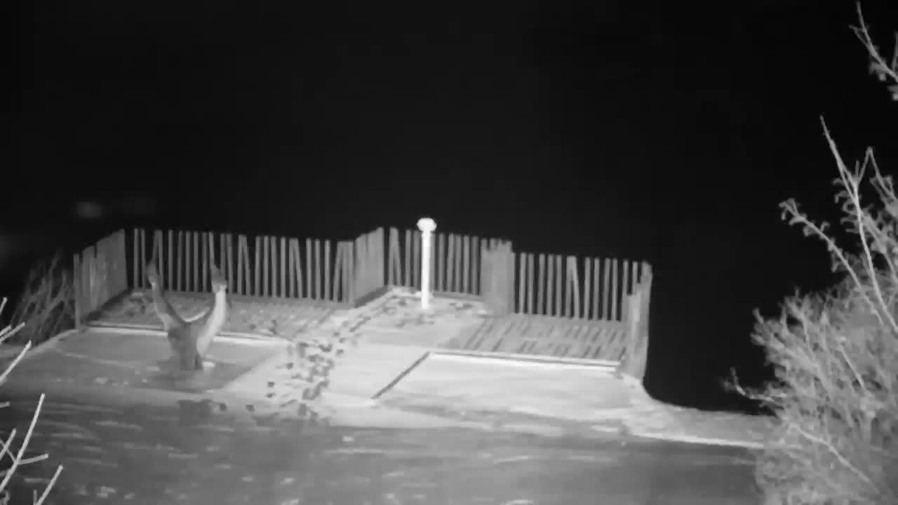 Spletna kamera Ribnik Vrbje – Žalec