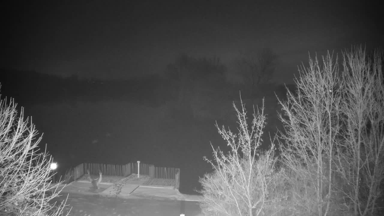 Web kamera Ribnik Vrbje – Žalec