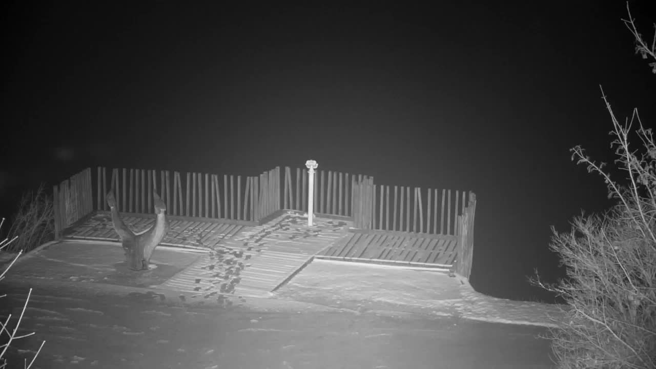 Webcam Ribnik Vrbje – Žalec