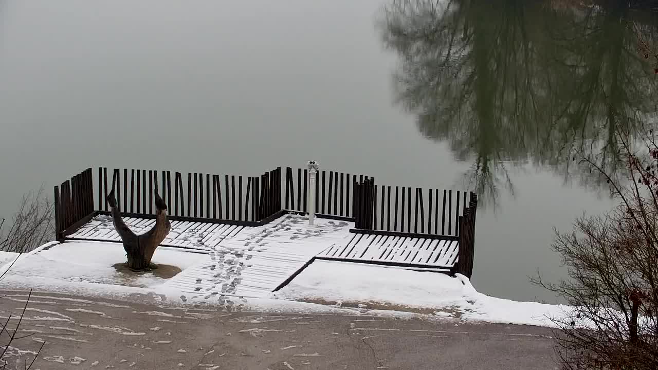 Spletna kamera Ribnik Vrbje – Žalec