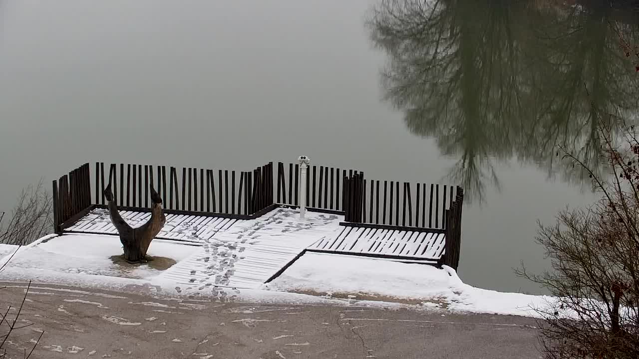 Webcam Ribnik Vrbje – Žalec