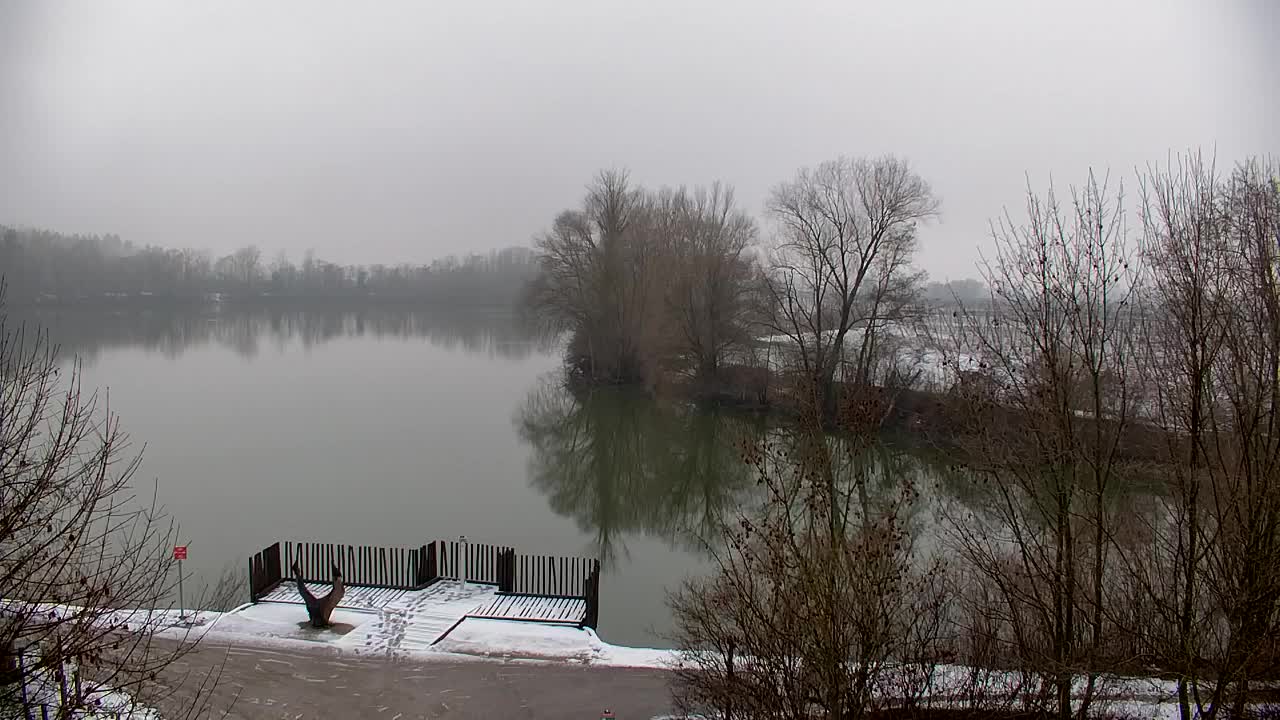 Webcam Ribnik Vrbje – Žalec