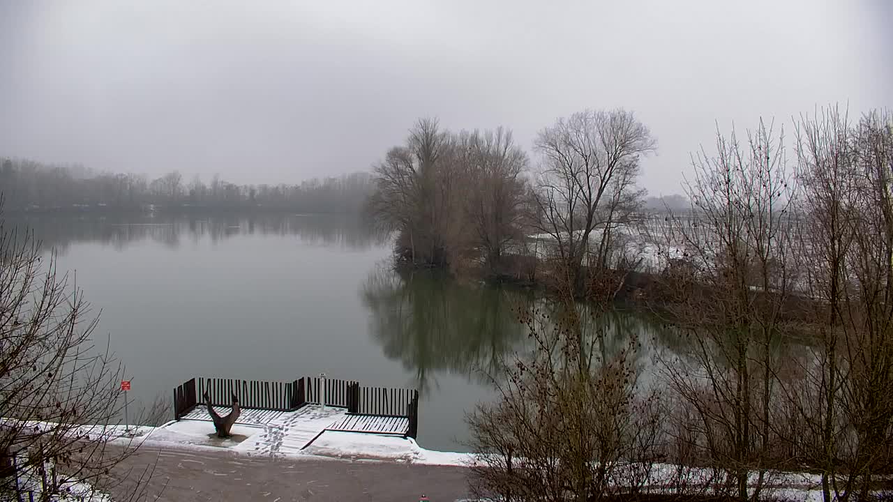 Webcam Ribnik Vrbje – Žalec