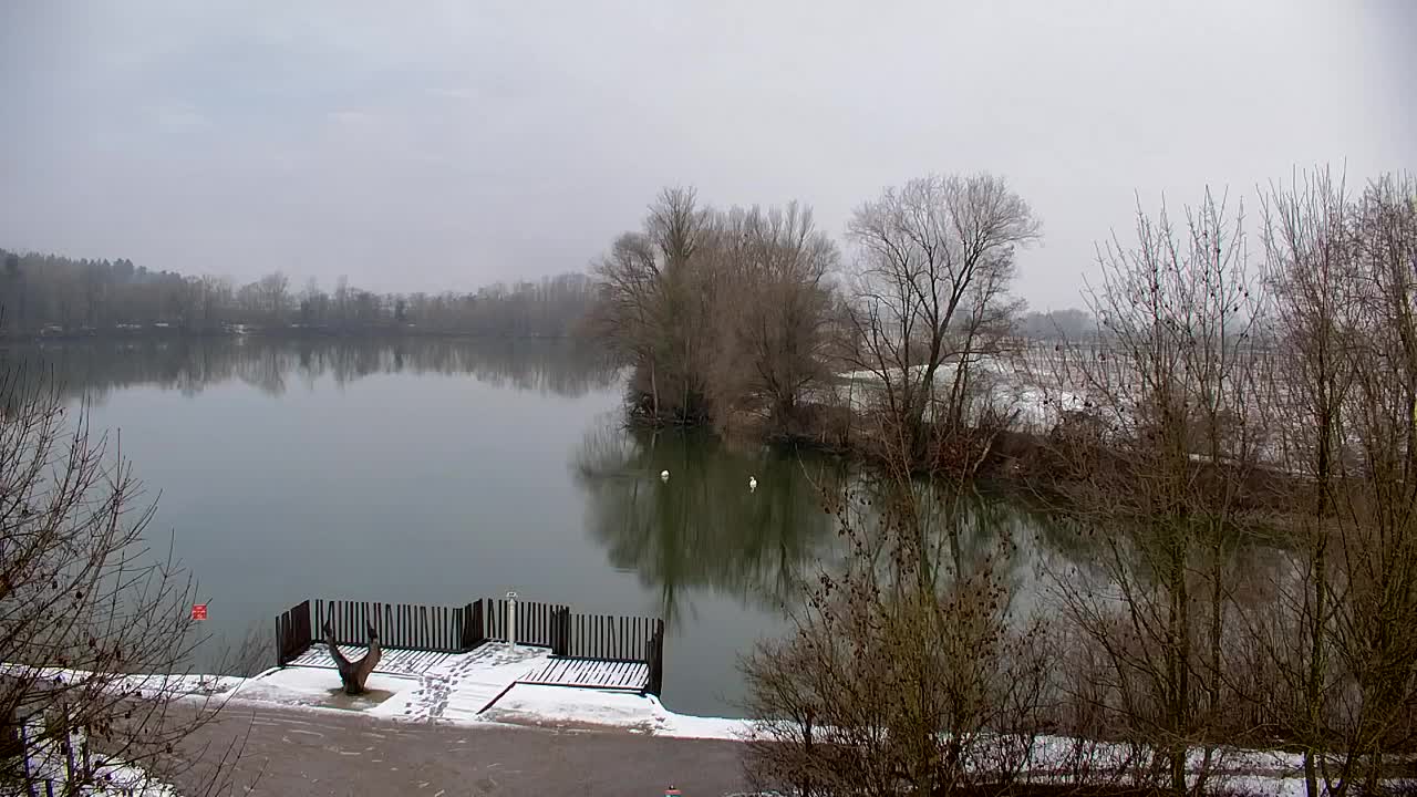 Webcam Ribnik Vrbje – Žalec