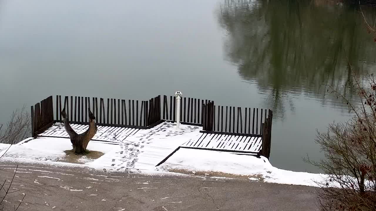 Webcam Ribnik Vrbje – Žalec