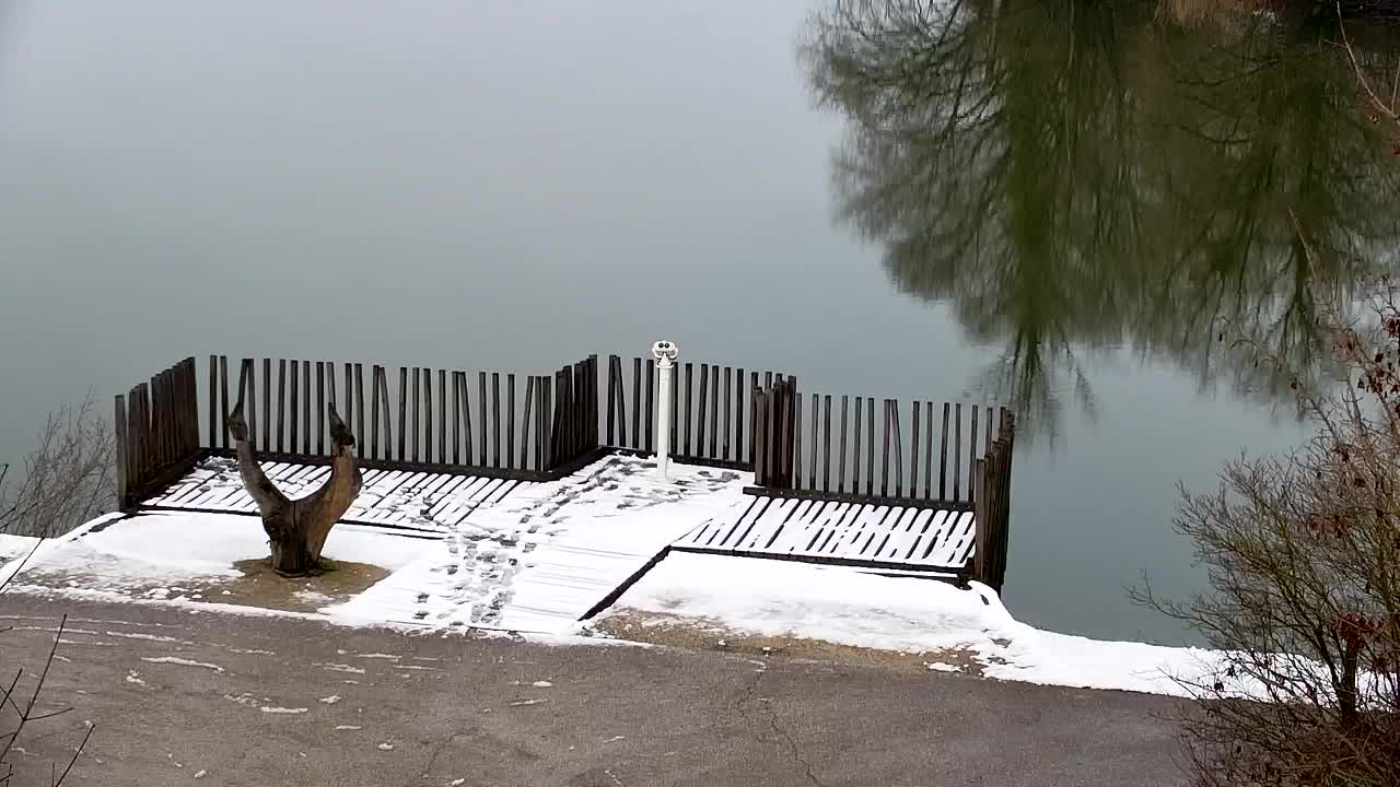 Webcam Ribnik Vrbje – Žalec