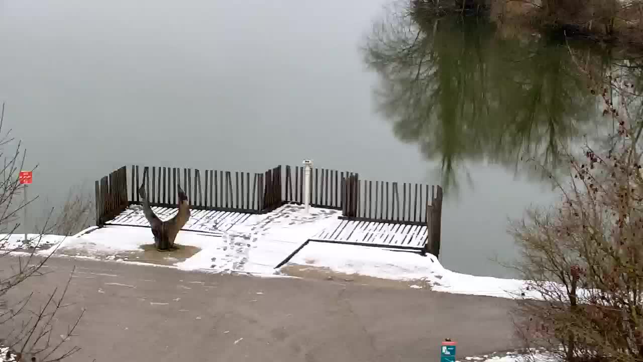 Webcam Ribnik Vrbje – Žalec